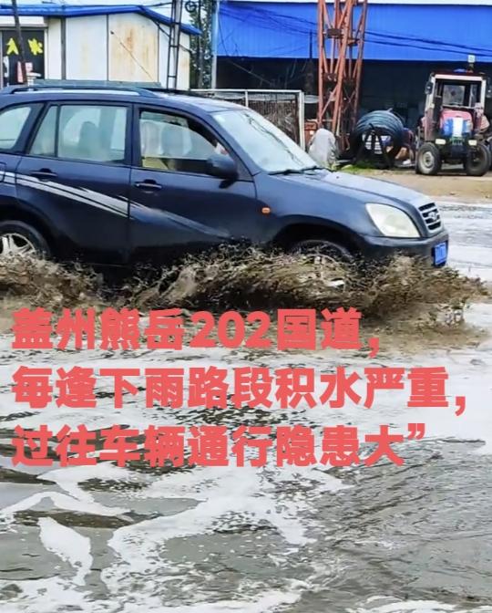  如实拍路边积水发到网上，工作人员来电劝我删除

我家住辽宁盖州熊岳，202国道