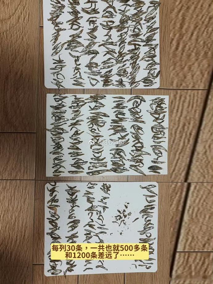 客服你来真的啊客服你来真的啊 ​？[求饶][求饶][求饶] ​​​