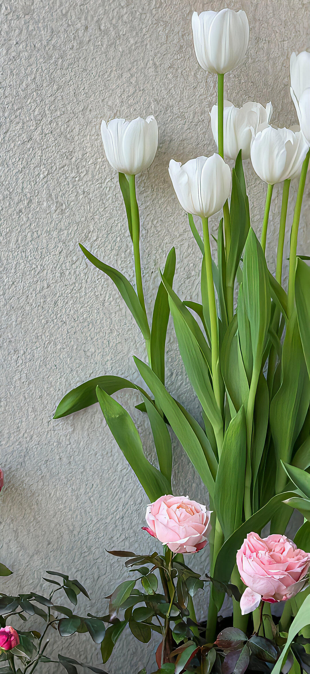 小众氛围感壁纸｜永远记住浪漫的瞬间🌹 