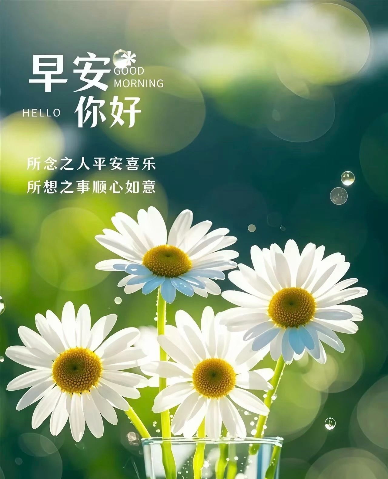 早安[超话]  ²º²⁶/₀₈.₂₉🌻𝒢𝑜𝑜𝒹 𝒟𝒶𝓎 生活百态
