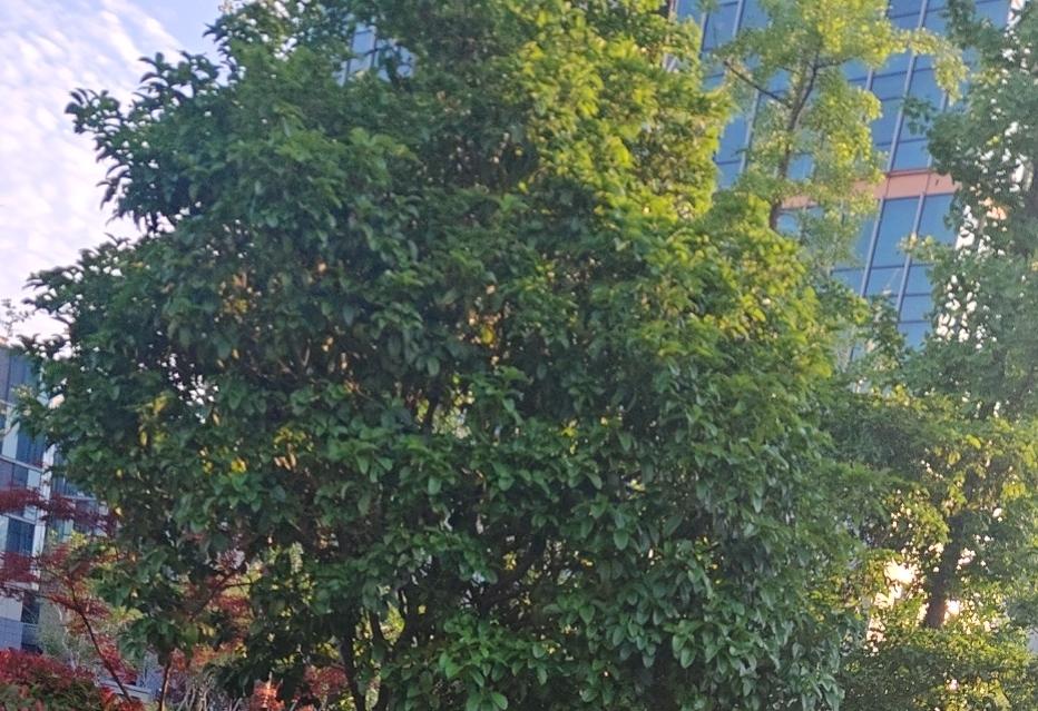 起床到底是先喝水还是先吃饭?起床先刷牙再喝水最后再吃饭
