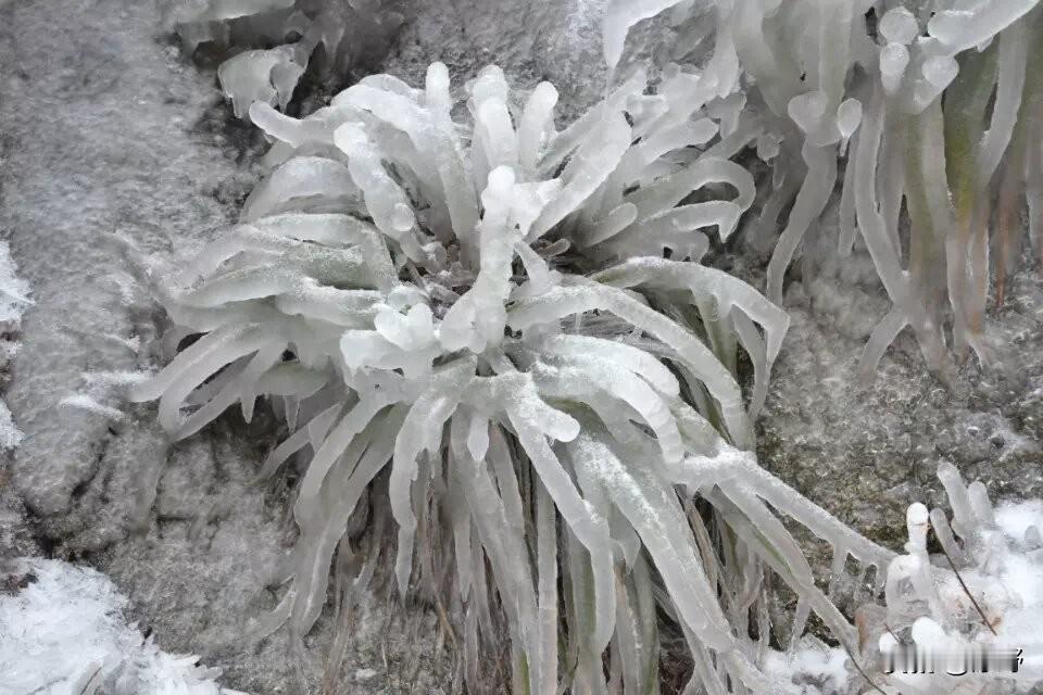什么地方的雪景最美安庆乌龙溪风景区的冰花