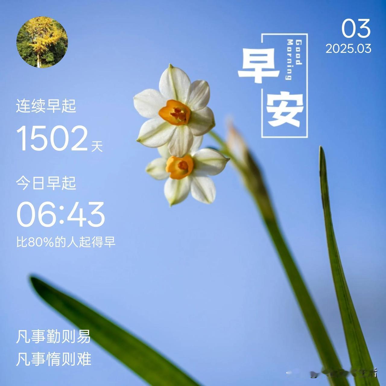 2025年3月3日 周一 雨
 
清晨6点43分，闹钟准时响起，我完成了第150