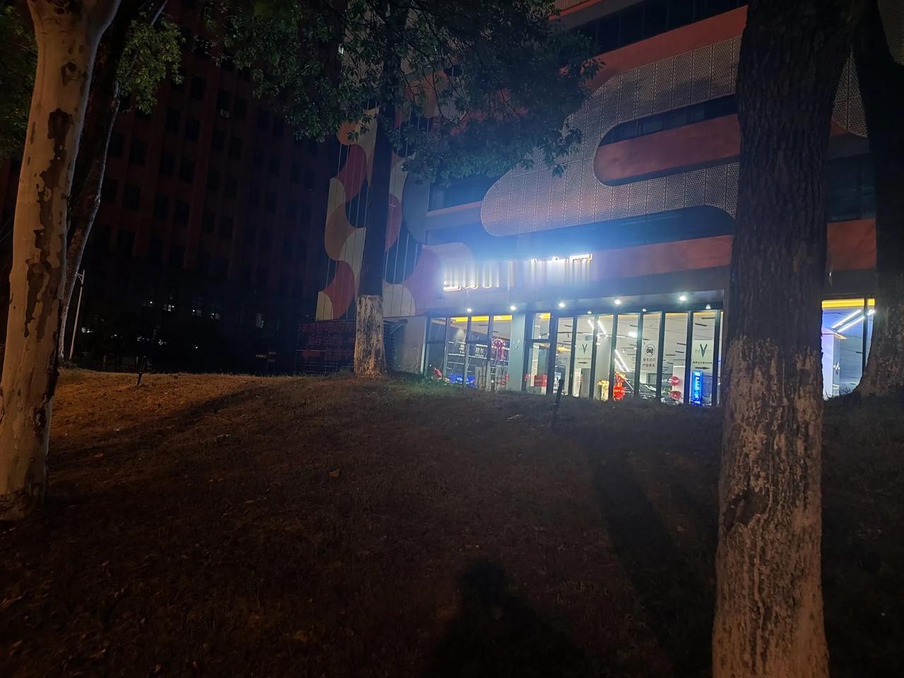 #照片是我今天的日记# 星哥叉车只叉好车。