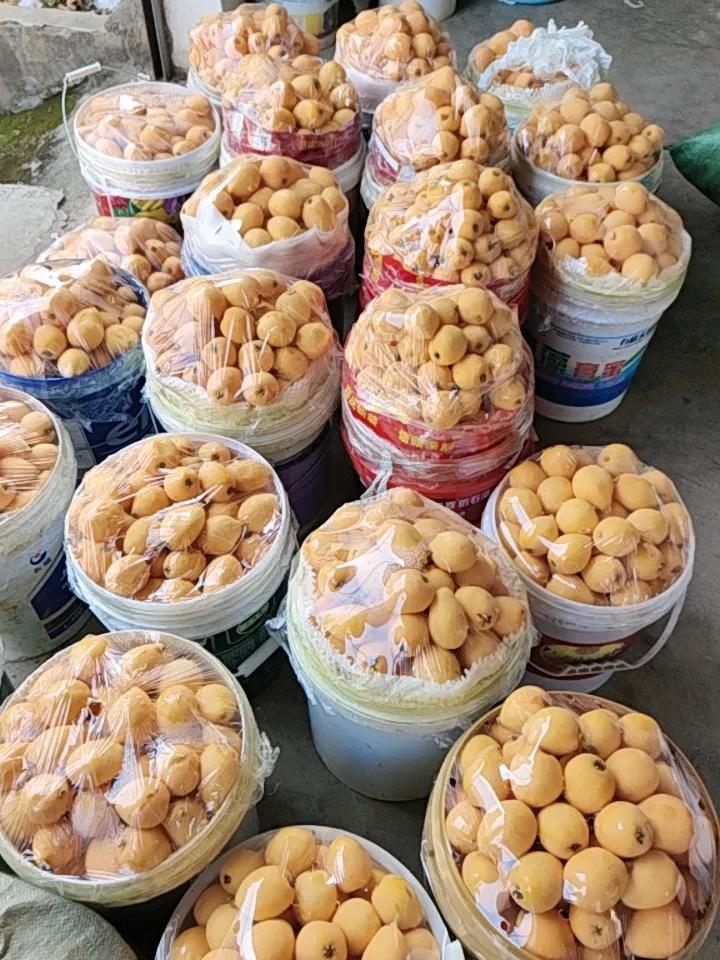 影响今日A股走势的重点

1. 隔夜美股三大指数收跌，大型科技股普跌，可能会对今