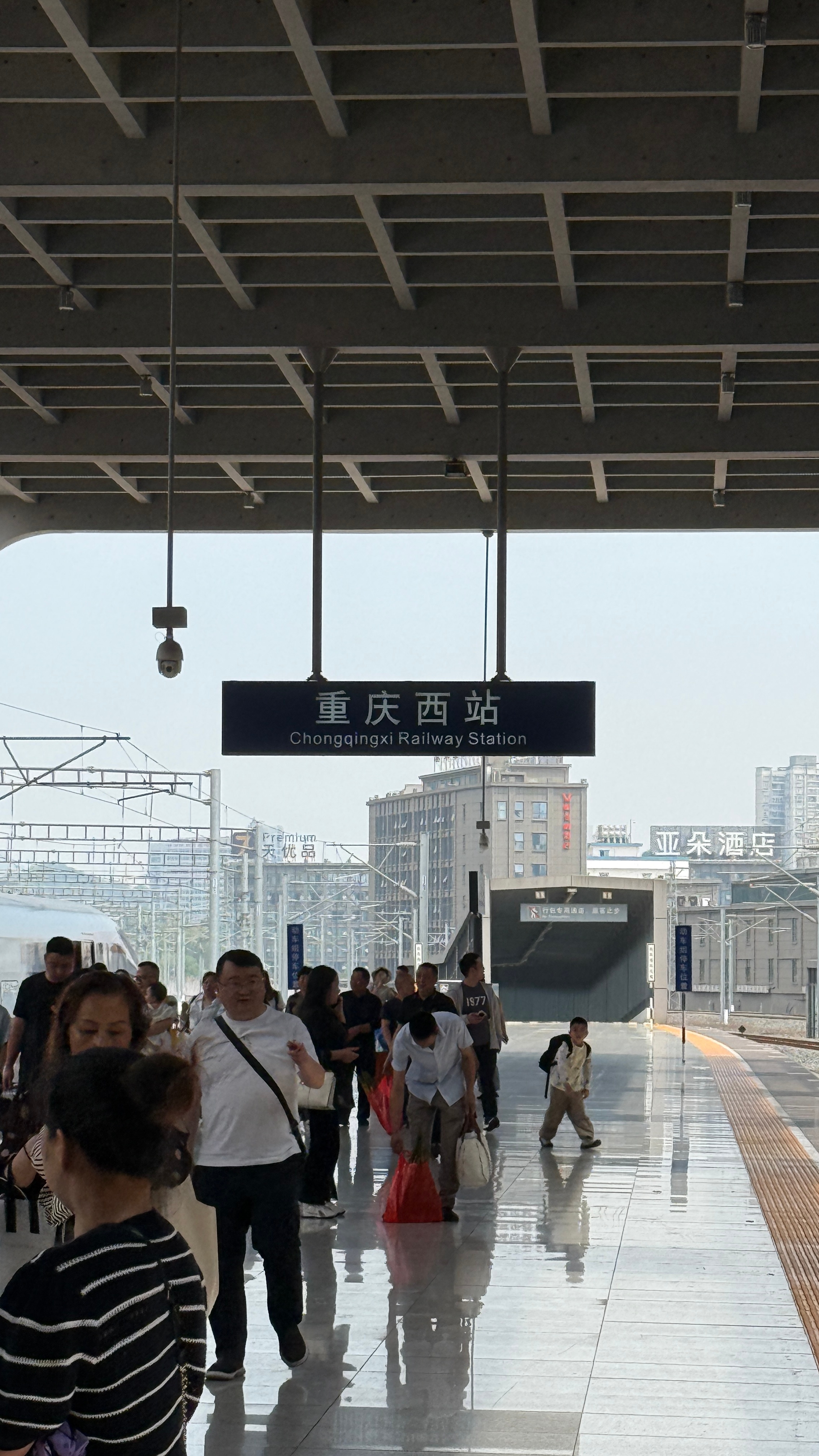 分享图片 ​​​