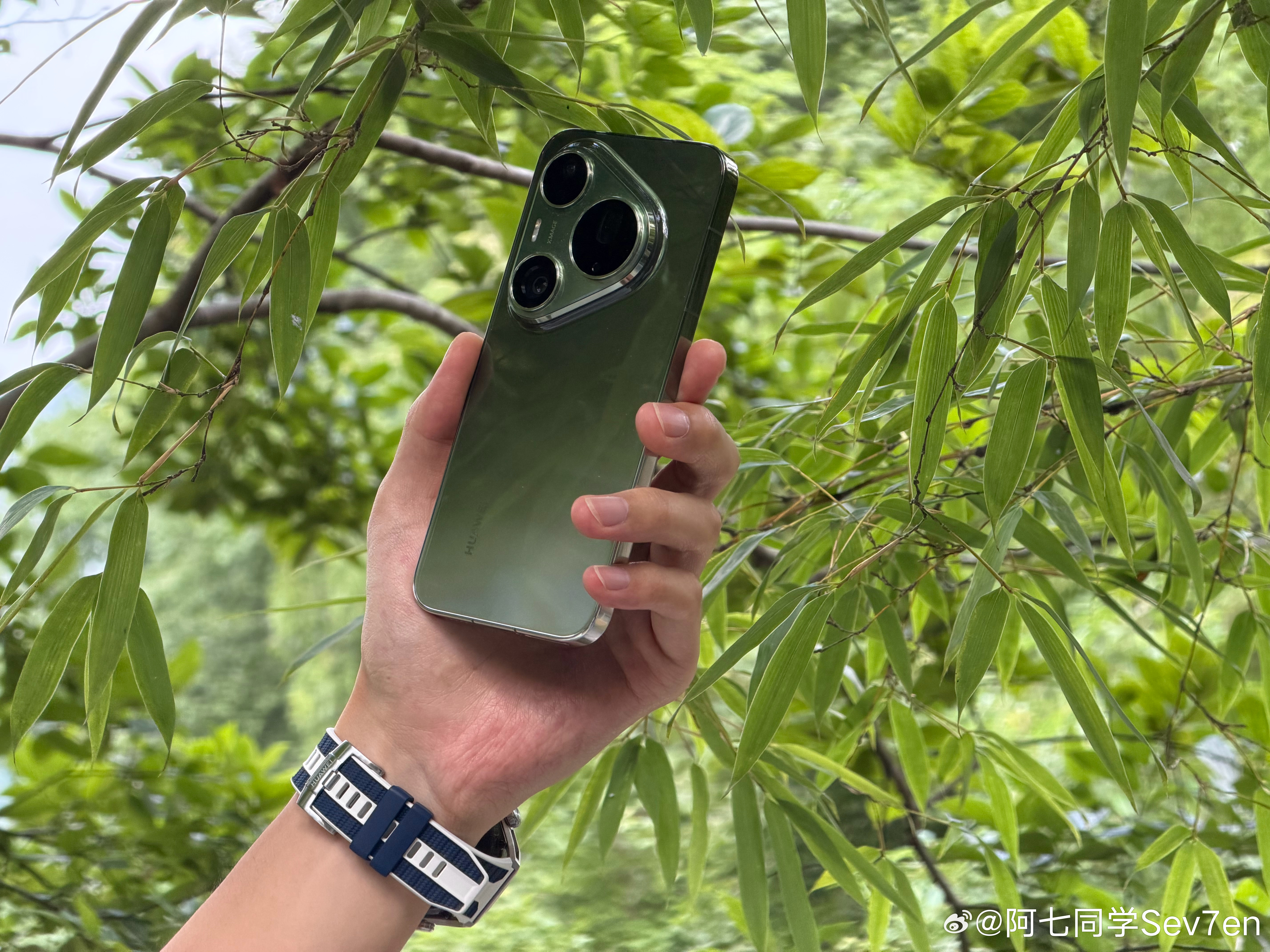 竹林里的华为Pura 90 Pro Max翡翠湖配色。Pura 90 Pro M