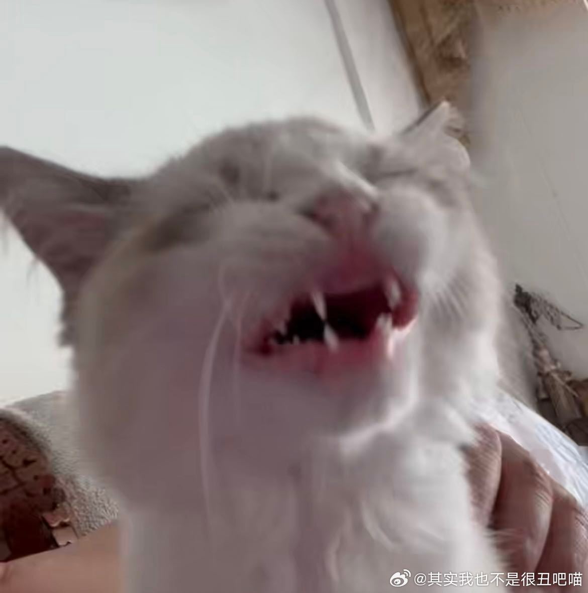 49815【】无需多言 