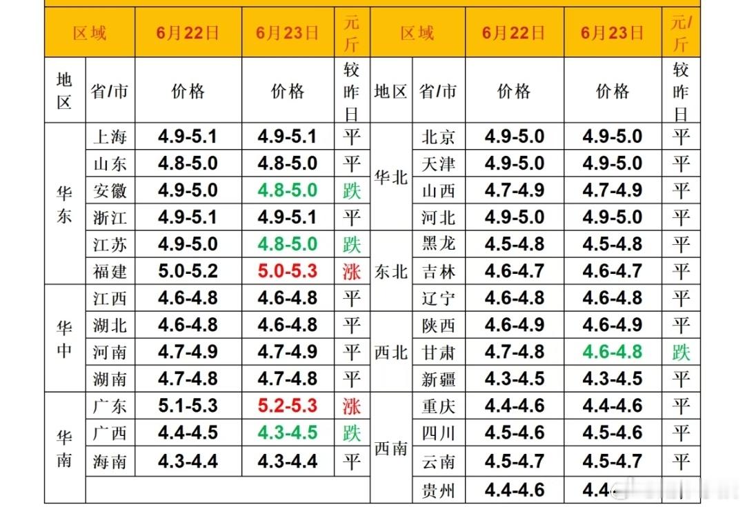 每日猪价 