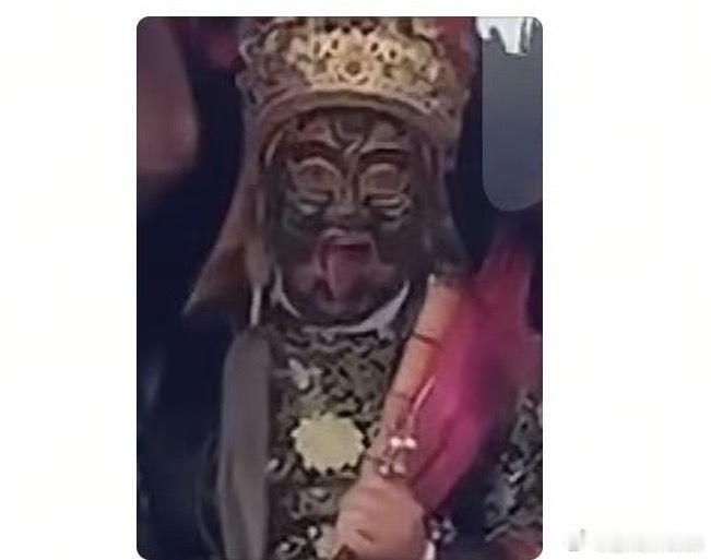 后车司机笑了半小时才敢开车上路这谁能忍的住不笑呀，这也太逗了，开车路上还碰上喜剧