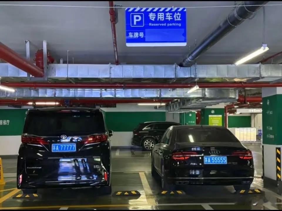 中国人的炫富心理和虚荣心//@原始森林植物人昭宁:日车高价原因是啥？
