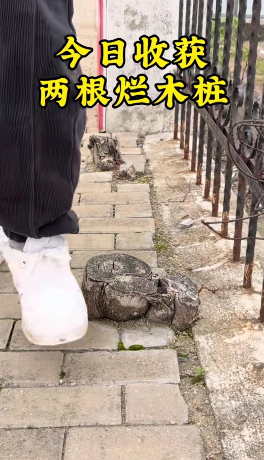 勿以善小而不为，今有街头清障哥。
（如图所示）人行道上有几根烂木桩，一般人的做法