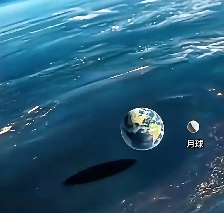 我们人类是多么渺小！人类能活多久  人类渺小感  人类局限性 最脆弱的群体 人类