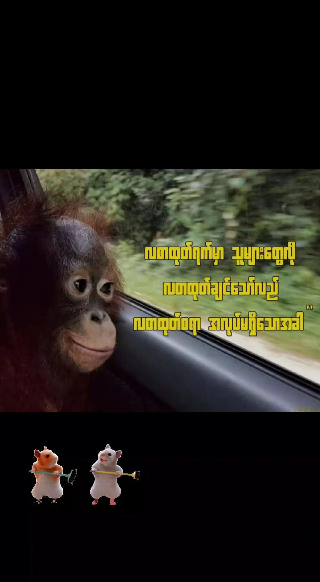 အလုပ်ရှာပေးကျပါအုံး