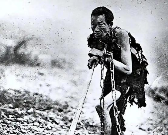 1959年，解放军进入西藏大贵族索康·旺清格勒的庄园。当几间尘封了上百年、从未被