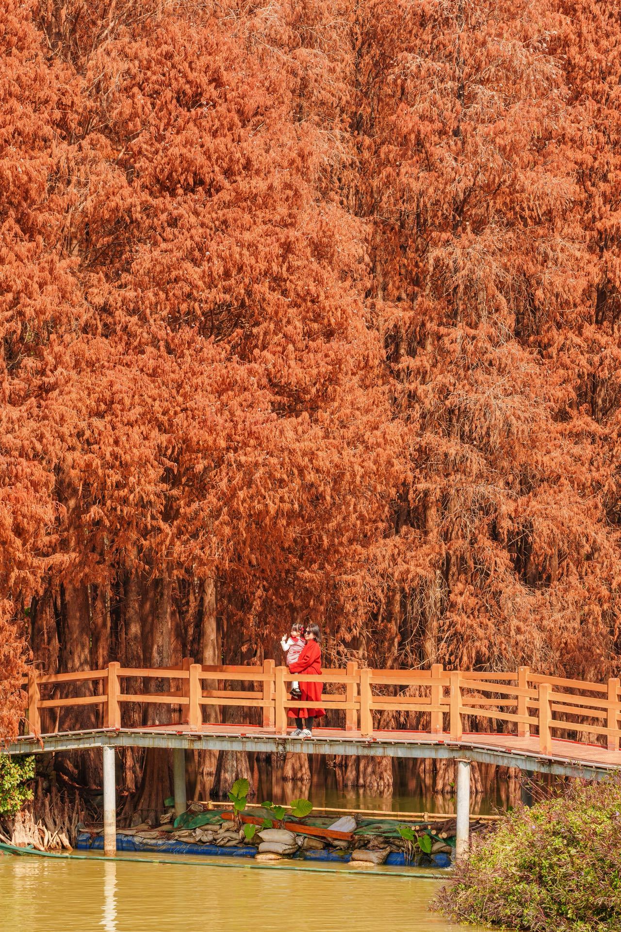 ‼️肇庆春节，带娃赴一场山水祈福之约👇今年春节终于不卷景区人海了！提前带娃解锁