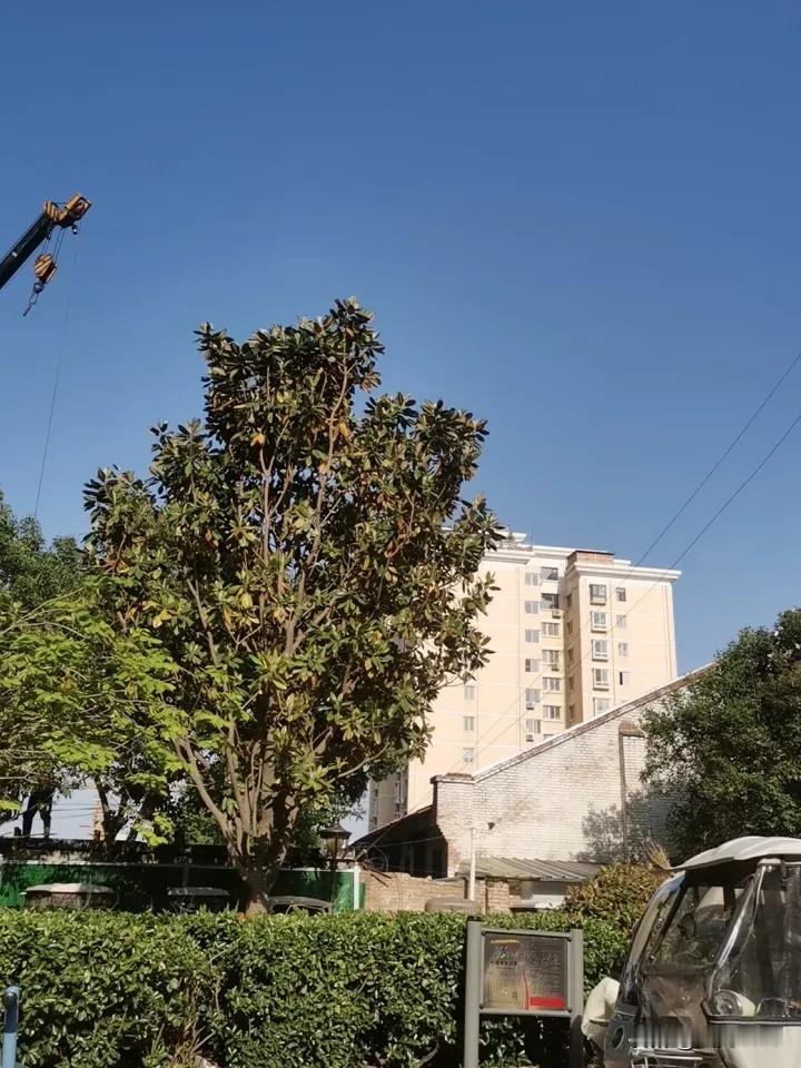 一句话证明你老了！字数越少越好每天太阳最好的时候，出来晒晒背，