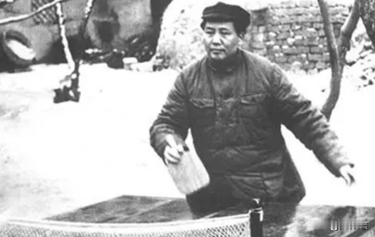 毛主席当年提出学生要德智体全面发展。
上世纪八十年代，有人提出“德智体美劳”全面