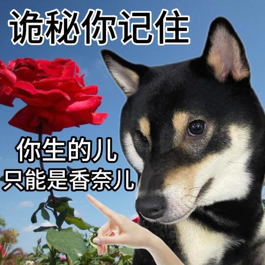 诡秘 你鼻须要记住💅🏻