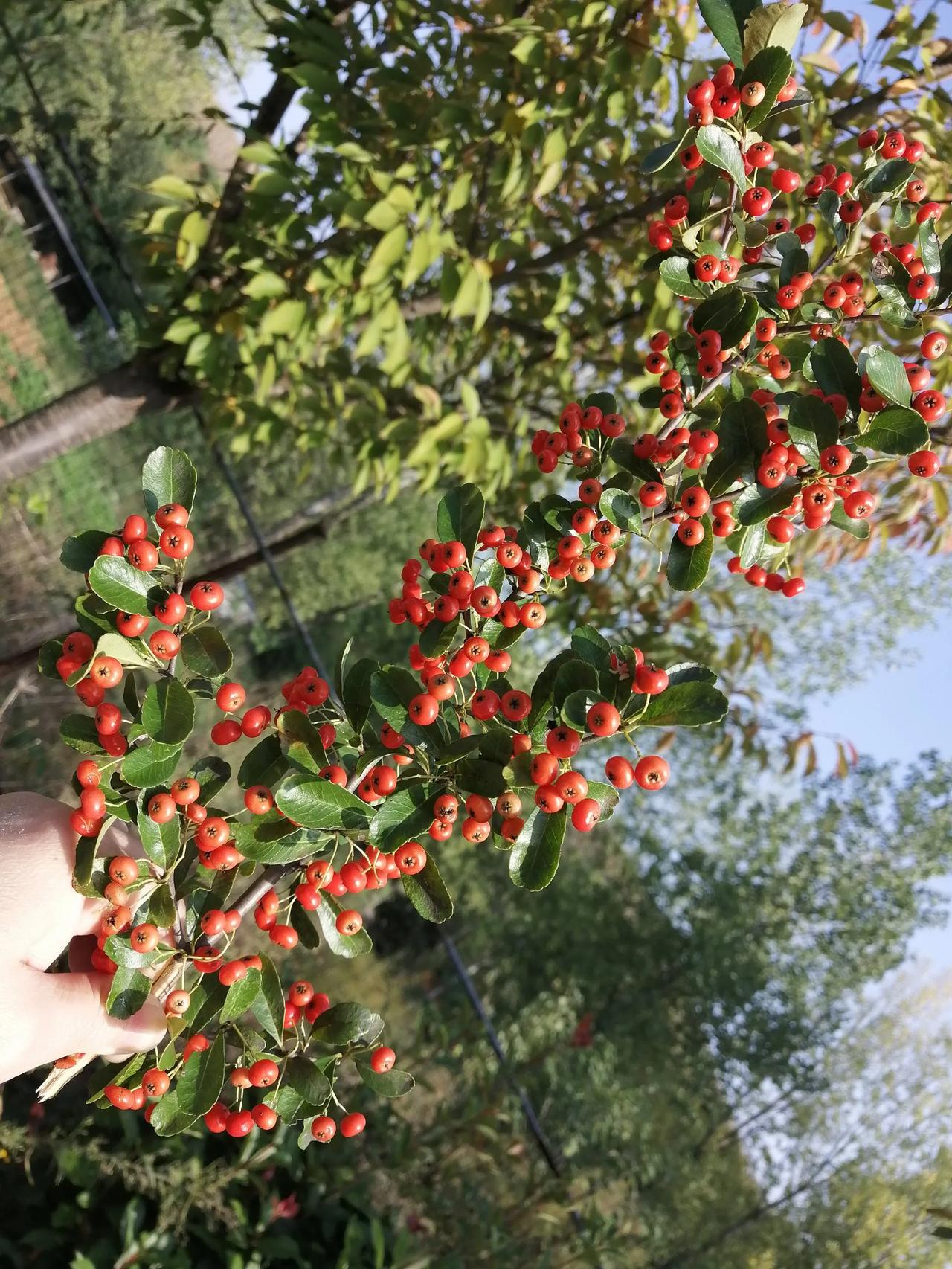 一个好的旅游搭子有多重要？
我们出门旅游，从自己熟悉的地方到一个陌生的地方，如果