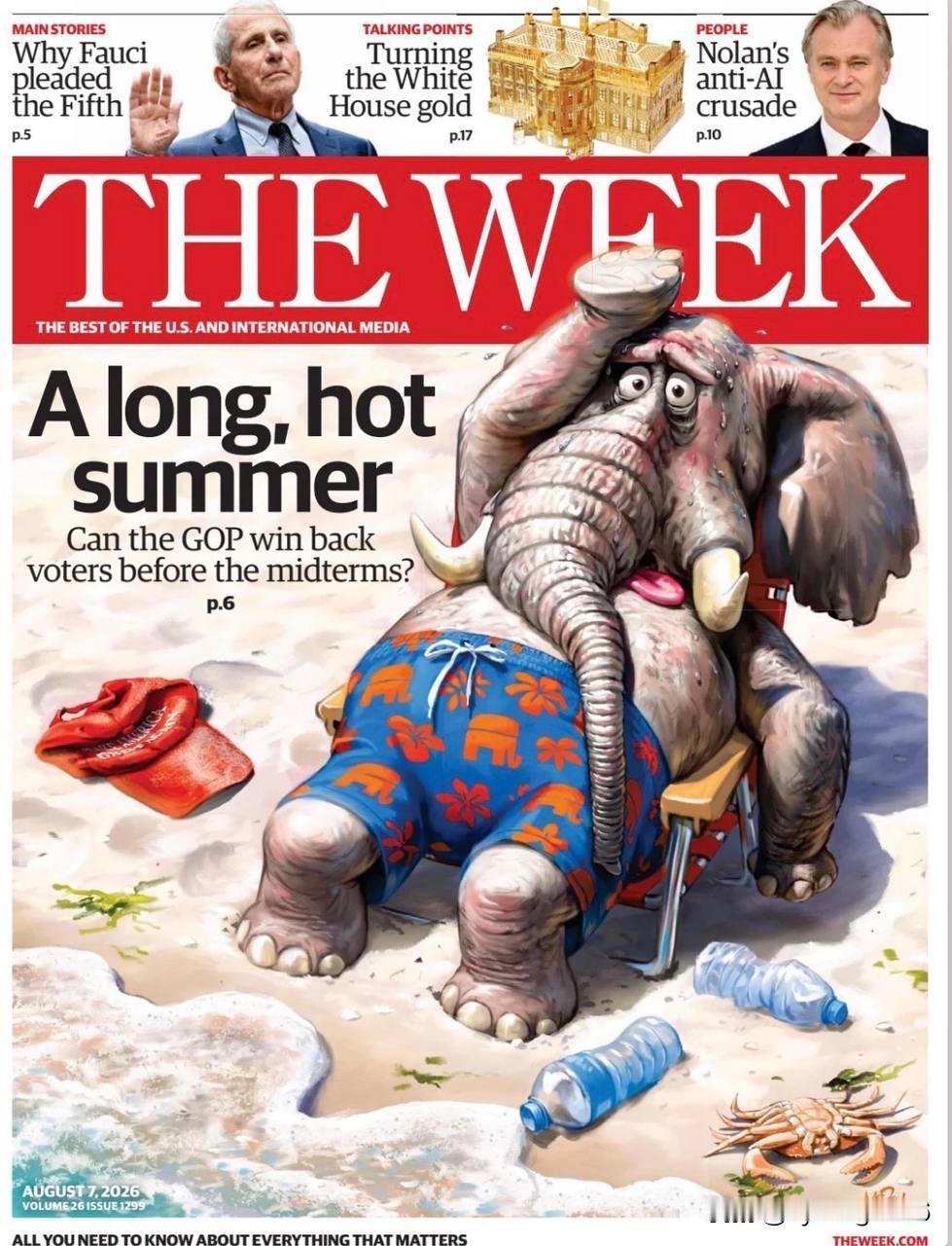🇺🇸美国杂志《The Week》最新一期的封面聚焦于大选前的“漫长而炎热的夏