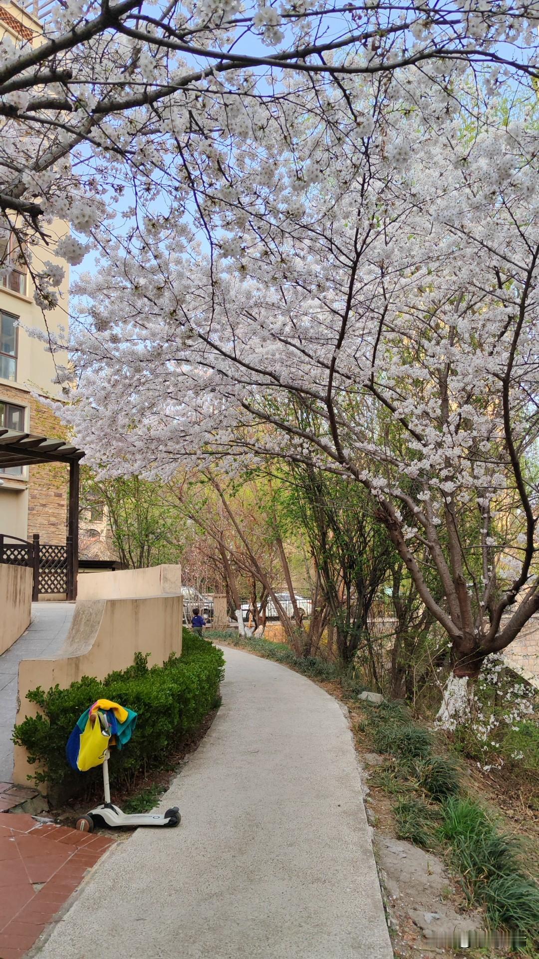 【即墨婚俗】验家：多用在女方家长对男方家庭的考察

现在的青年人恋爱结婚，在性别