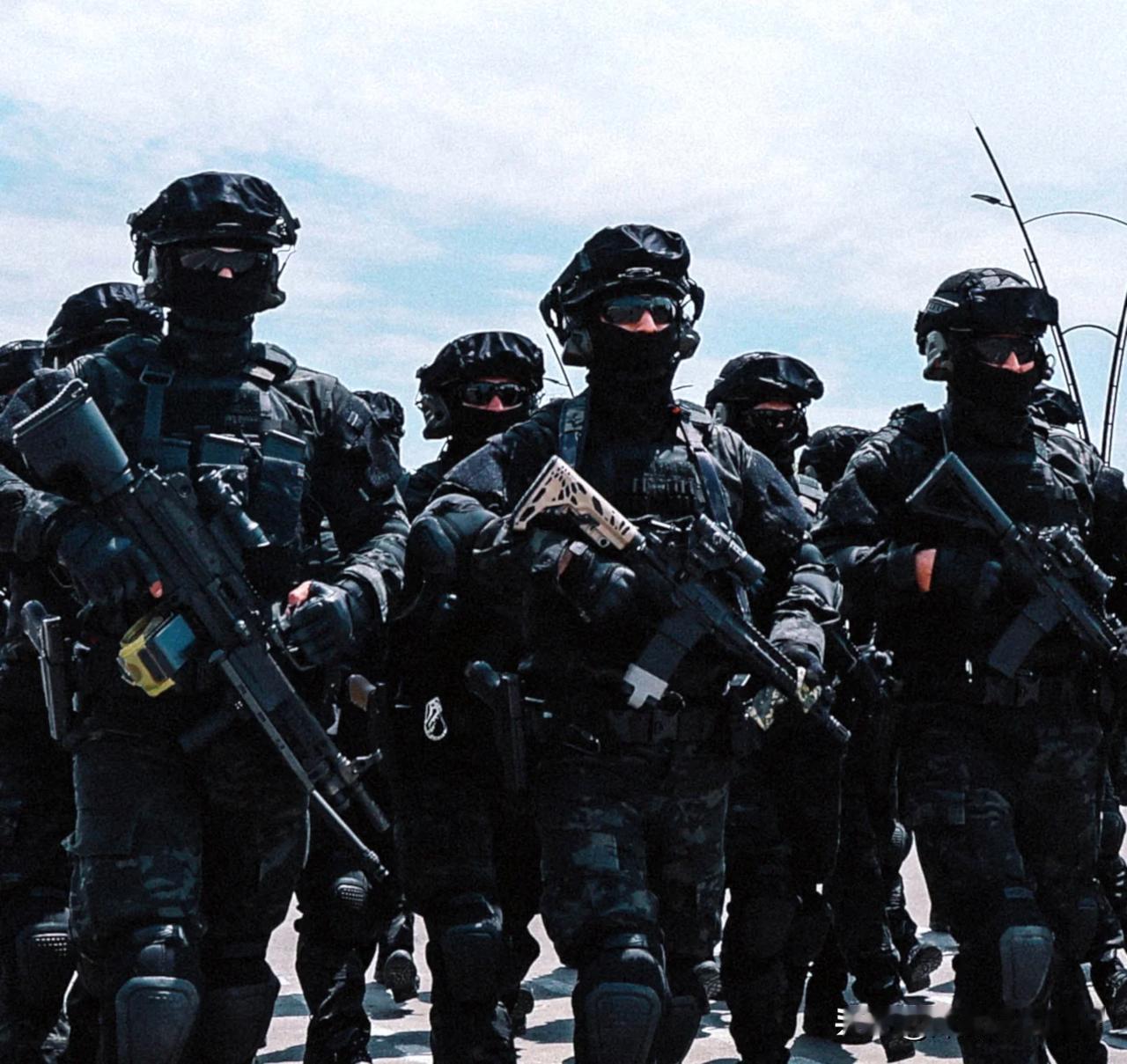 5月31日是格鲁吉亚警察日，格鲁吉亚特警
格鲁吉亚警察部队也是一路坎坷，就警察推