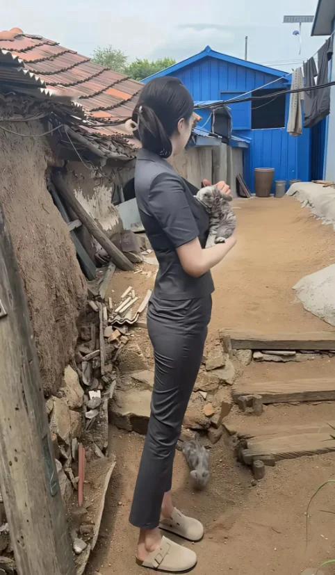 宁当鸡头不当凤尾