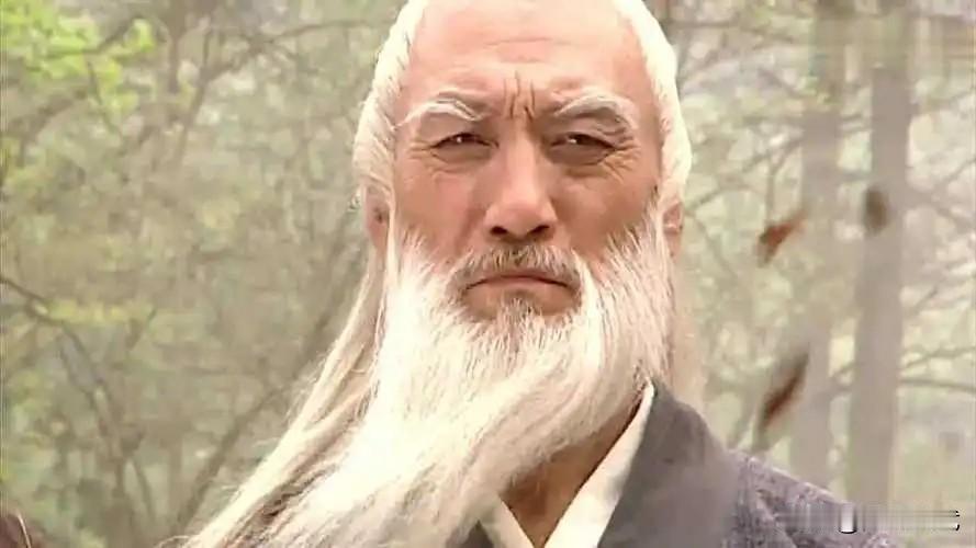 传授神照经和连城剑法给丁典的梅念笙，是《连城诀》中，很难得的大侠。他的内功修的是