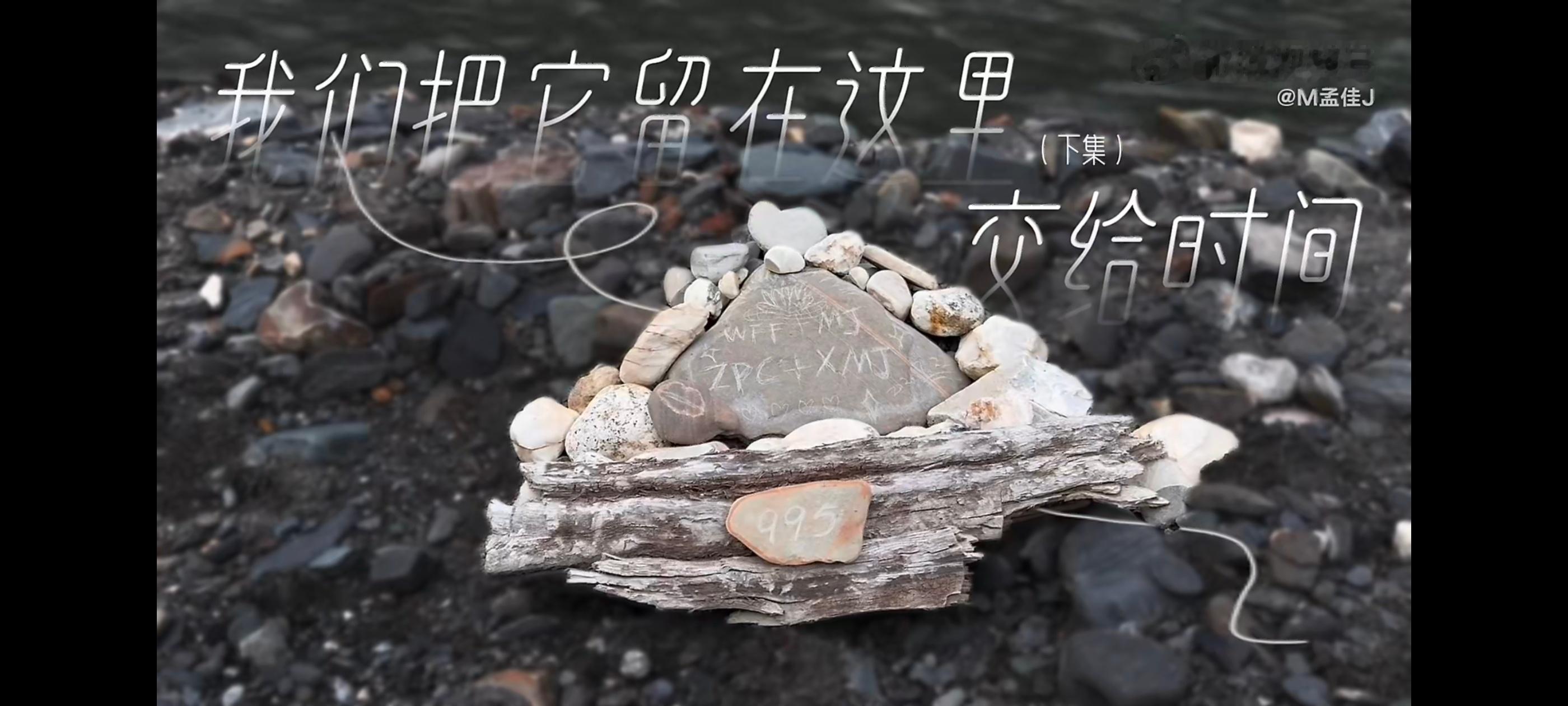 宝莲是我认为在浪姐里团魂最浓的 