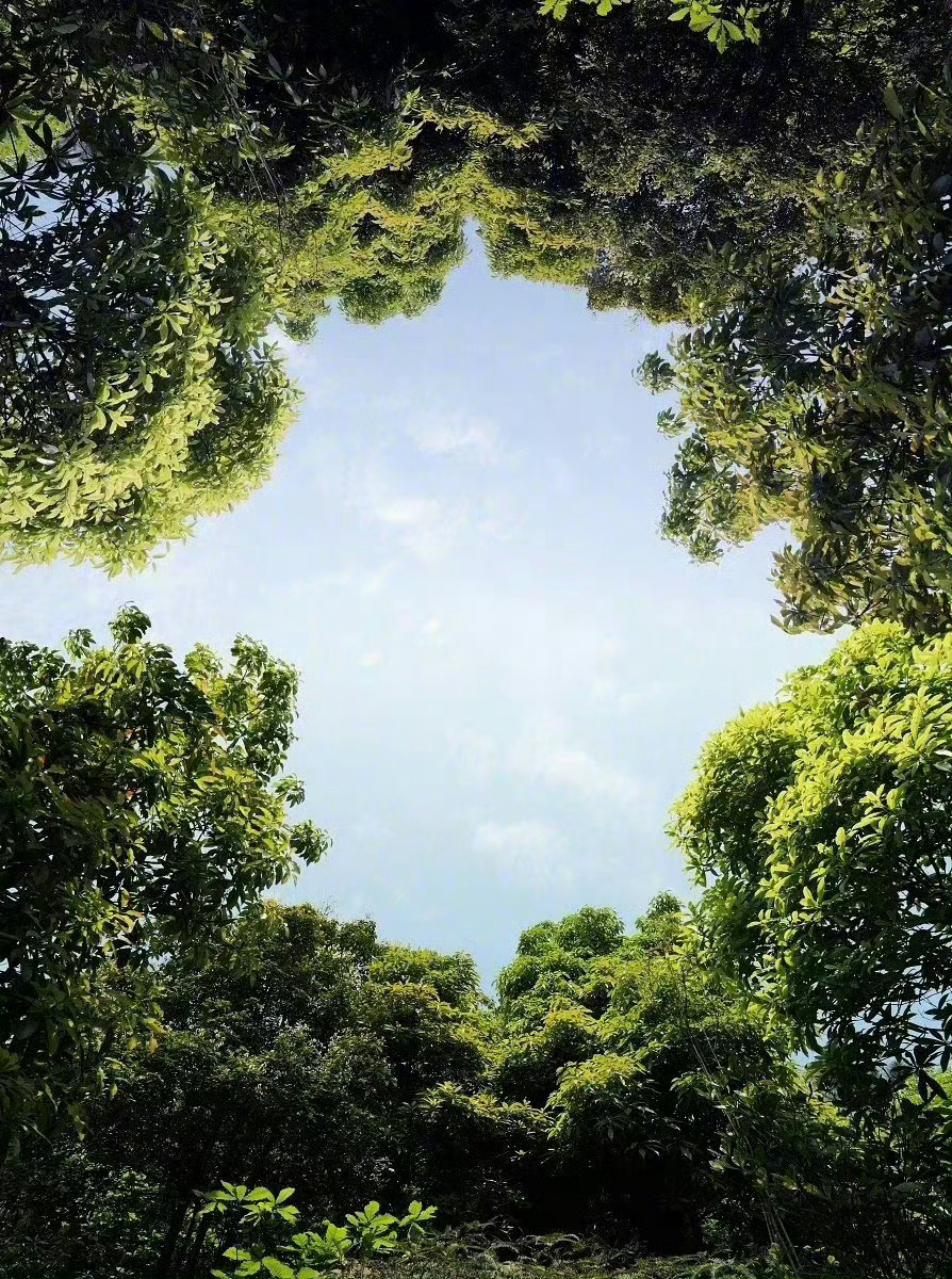 看不见事物之间彼此的联系的人，感受不到这个世界是一个整体的人，自然不会怀有敬畏之