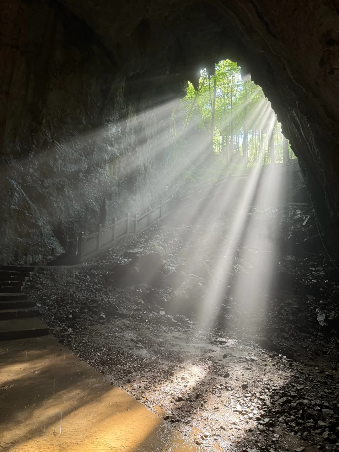 太治愈了🌈仙境般的存在啊