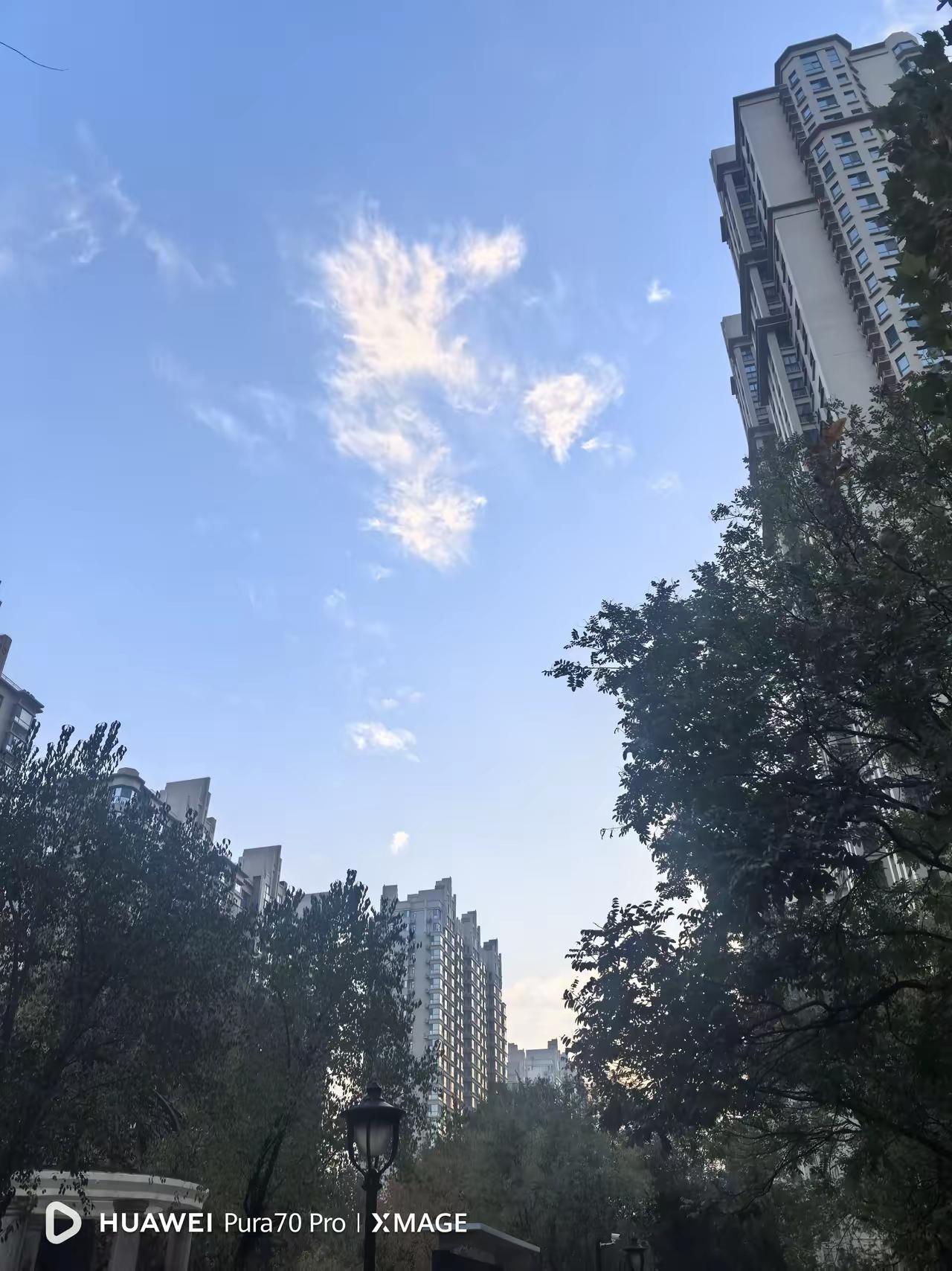 是酒后乱性，还是流氓成性？
据媒体报道，11月11日，广西百色发布情况通报，经联