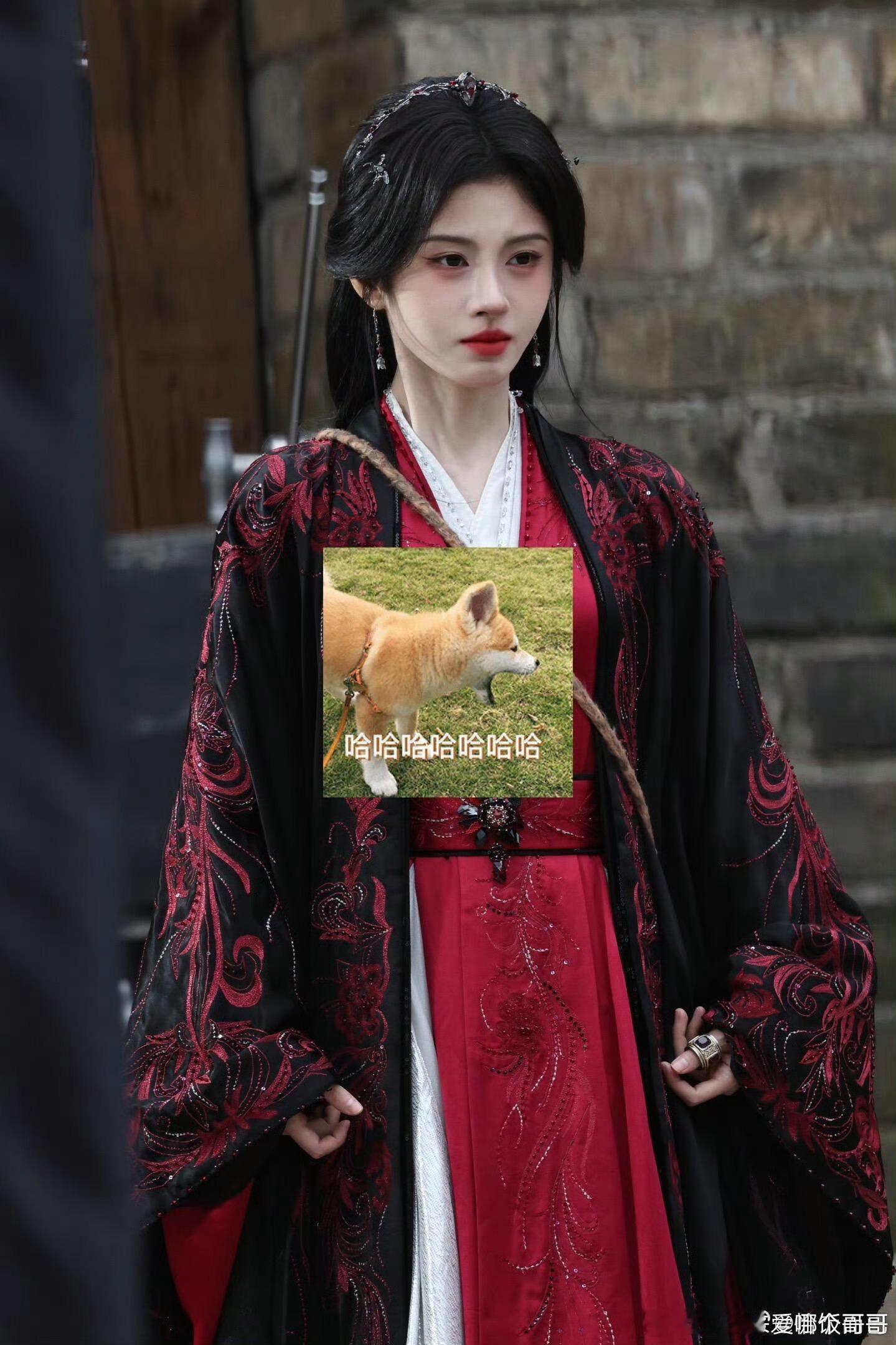 同一代拍拍的鞠婧祎、曾舜晞、陈都灵、田嘉瑞生图 ​​​