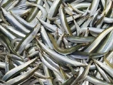 看看今天青岛海鲜市场上的海鲜价格又是如何呢。
大鲅鱼25元一斤；
琵琶虾公母混合