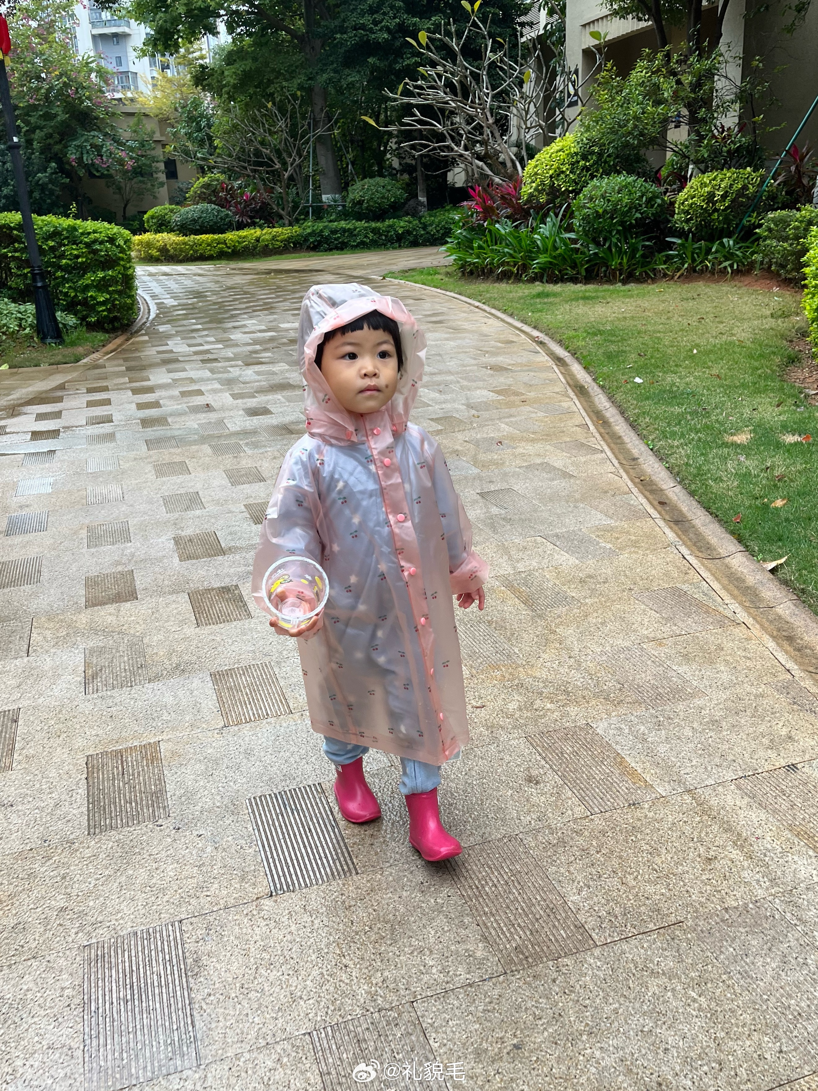 雨天，早上出门找蘑菇去了带娃随手拍