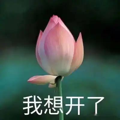 五一航班大面积取消消停的在国内花钱不好么？又安全选择性又高又省钱，非得出国玩是有