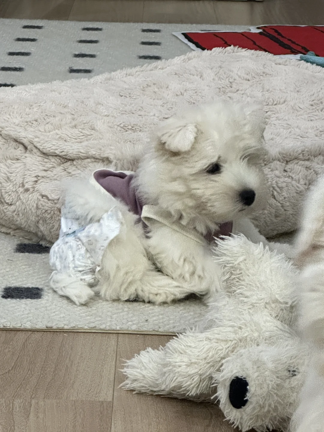 我要找妈妈告状！