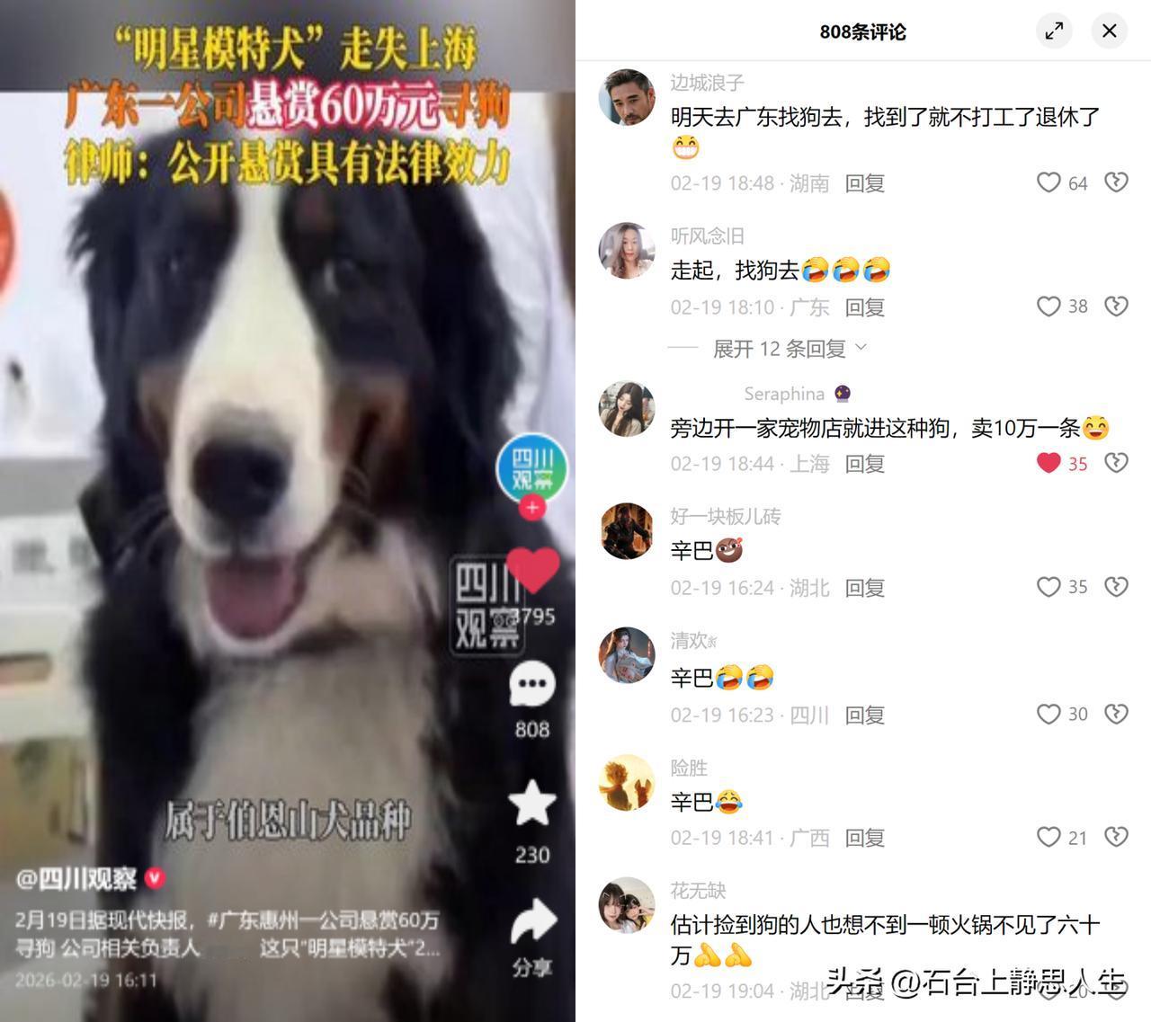 60万寻狗，竟是炒作？

广东惠州一公司悬赏60万，找走失的明星模特犬辛巴，