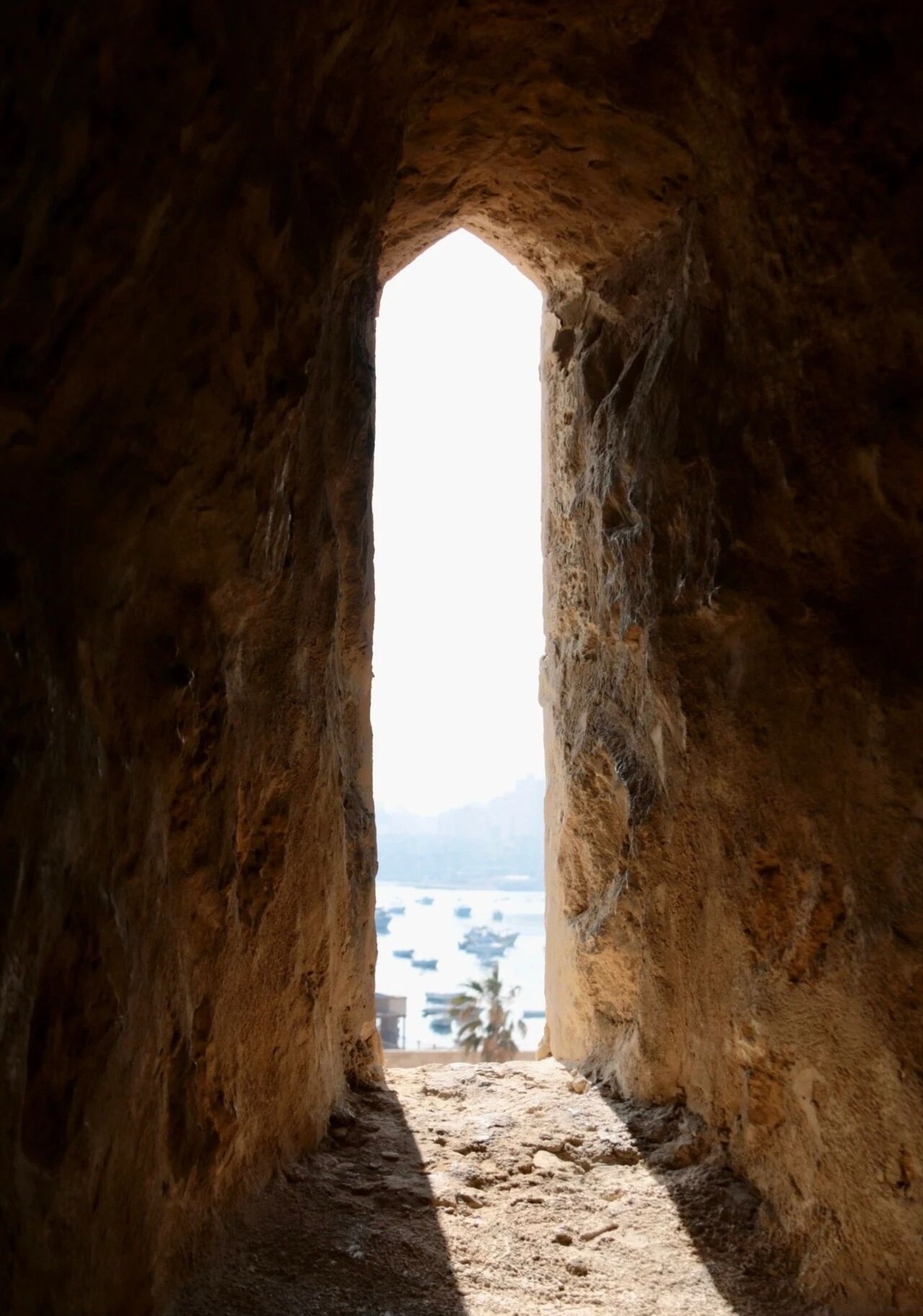 宅家，家就是你的世界;走出去，世界就是你的家。 ​​​