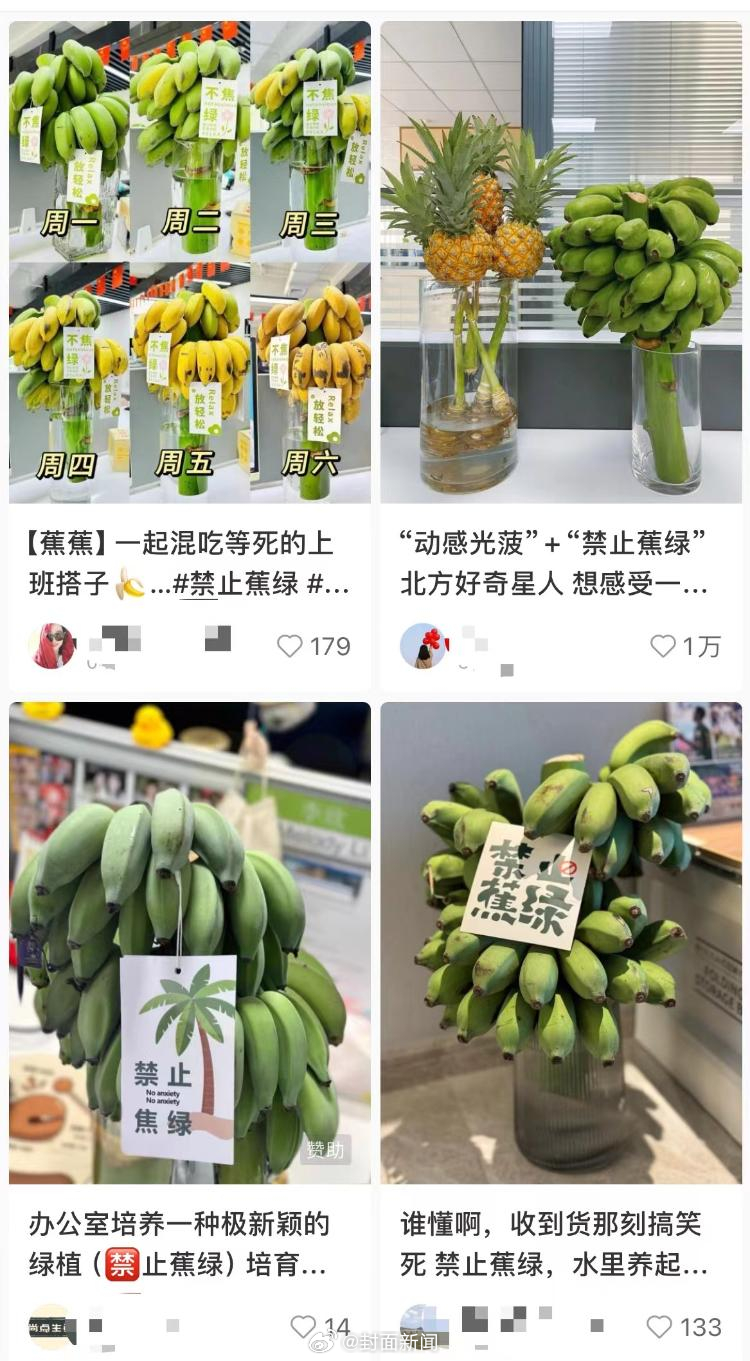 【#我在工位种香蕉#，禁止“蕉绿”】#脆皮年轻人的电子布洛芬#近日，社交平台刮起