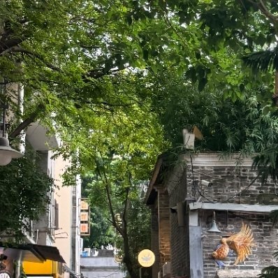 朱志鑫 🌻每日一善 🌻阳光信用 你笑起来真像好天气。愿所有温柔付出，都有深情