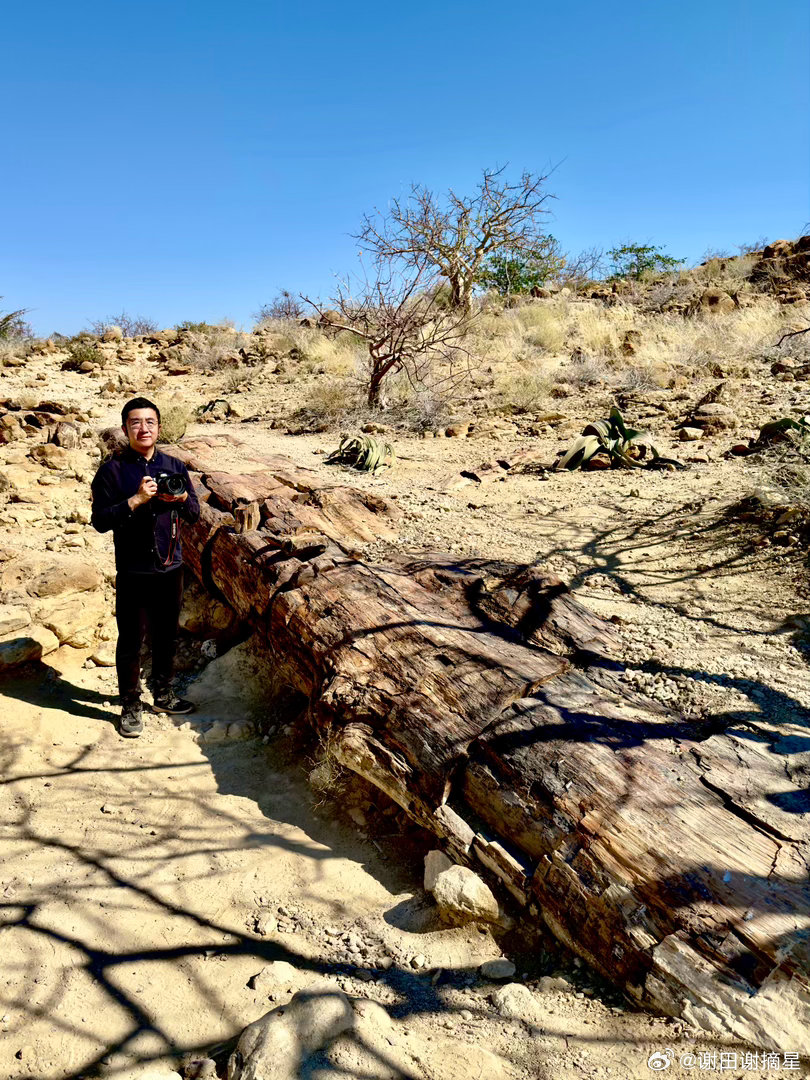达玛兰化石森林位于纳米比亚西北部达玛兰地区，是纳米比亚最著名的地质遗迹之一，也是