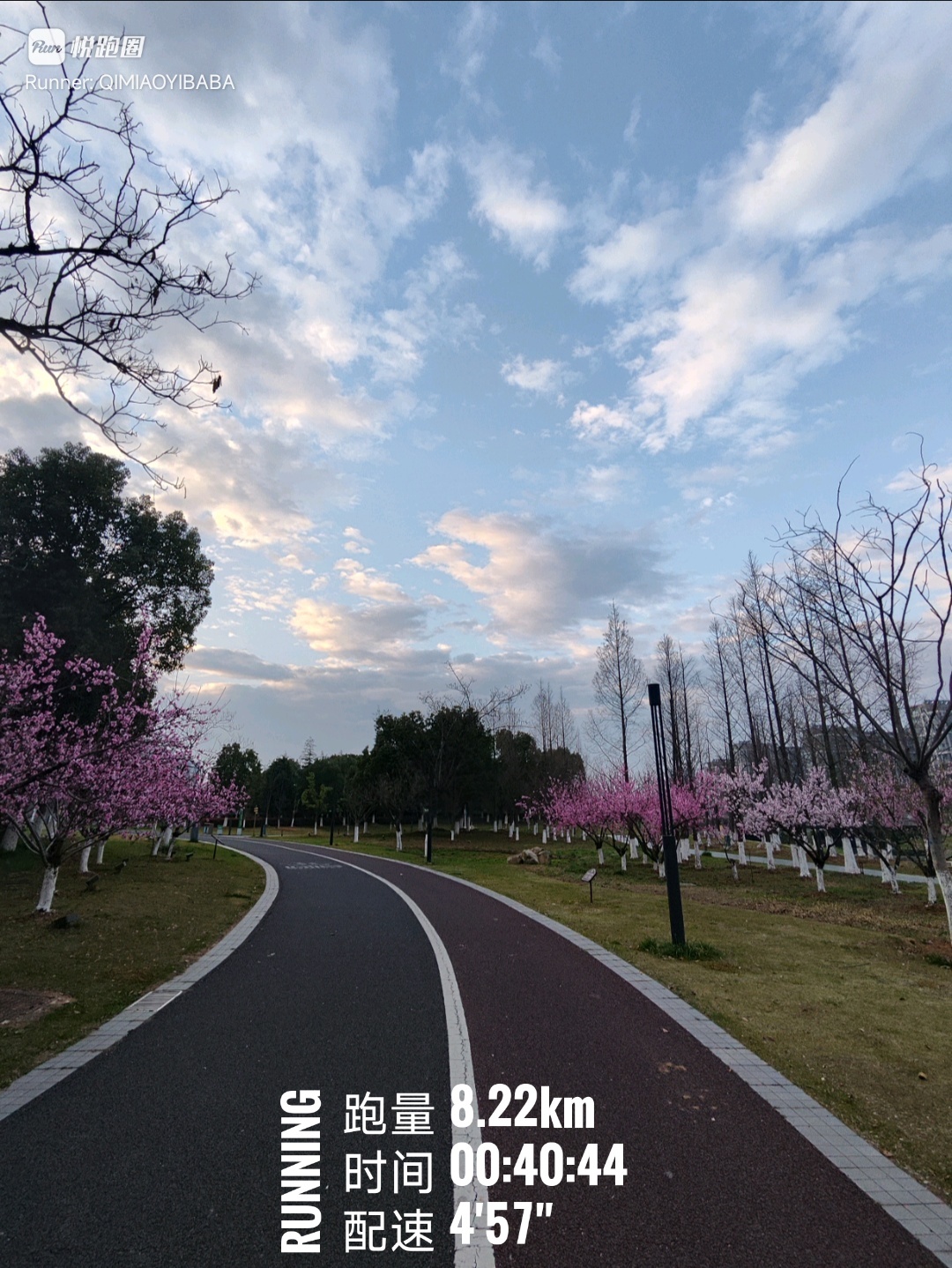 同学们早ﾉ☀早点去公园闻到的是花香，晚了就全是人味儿了