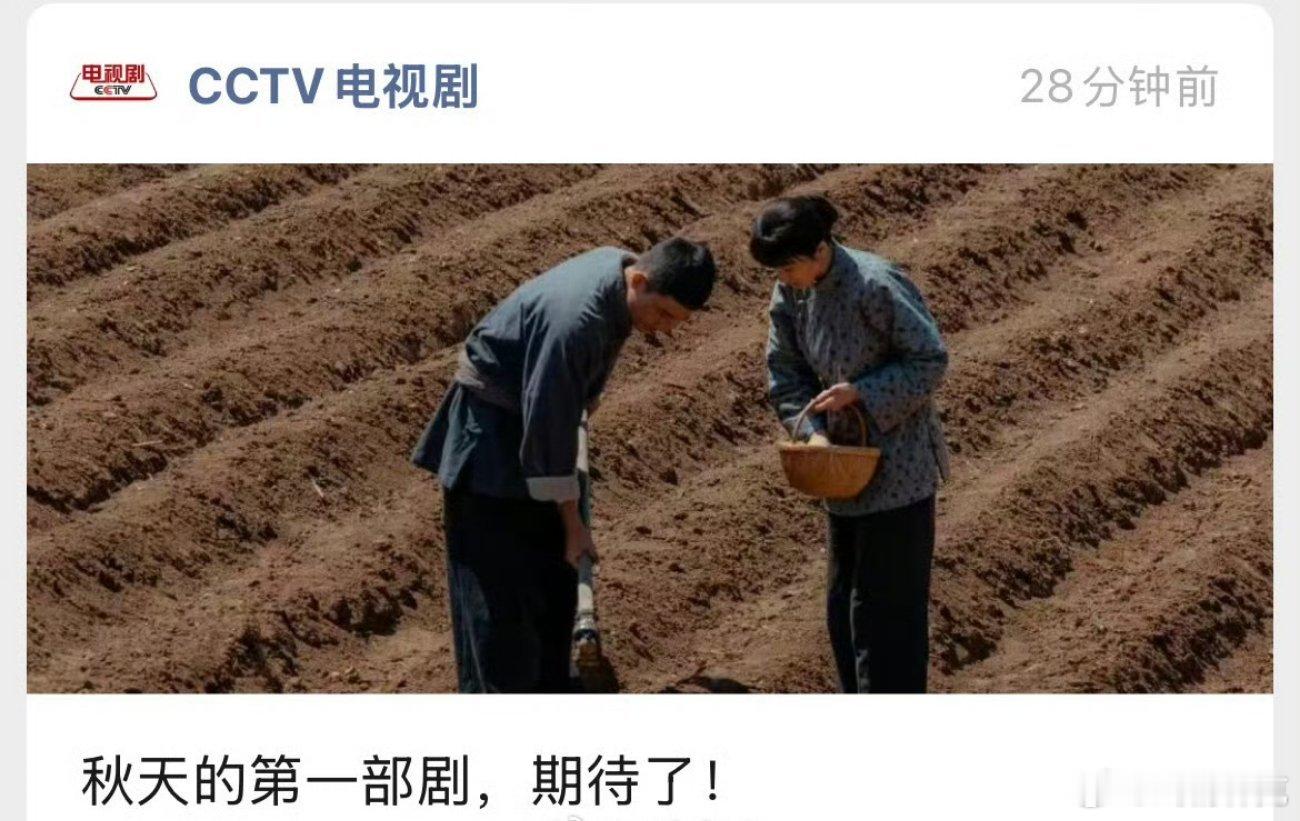 生万物或接档利剑玫瑰央八已经开始预告杨幂的生万物了。🥝的大家剧场第二部，走高品