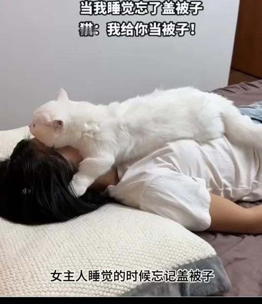 女主人睡觉时忘记盖被子 ，猫咪直接趴在女主人的脸上

在一个宁静的夜晚，女主人劳