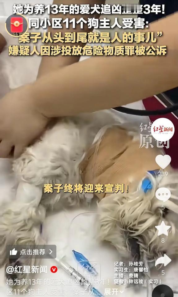 泪崩了！北京的李女士她辞了工作，一头扎进法律书籍里，查了三年！功夫不负有心人，终