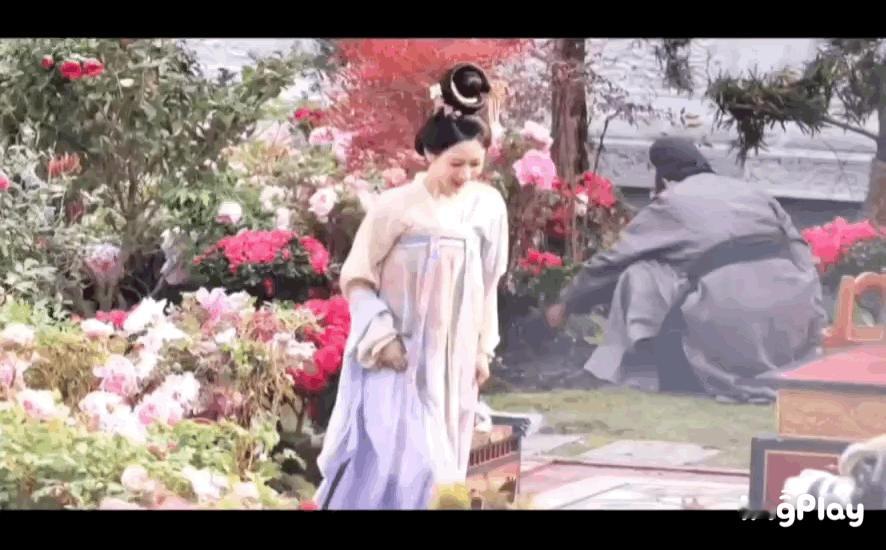 杨紫《国色芳华》最新路透 ​​​