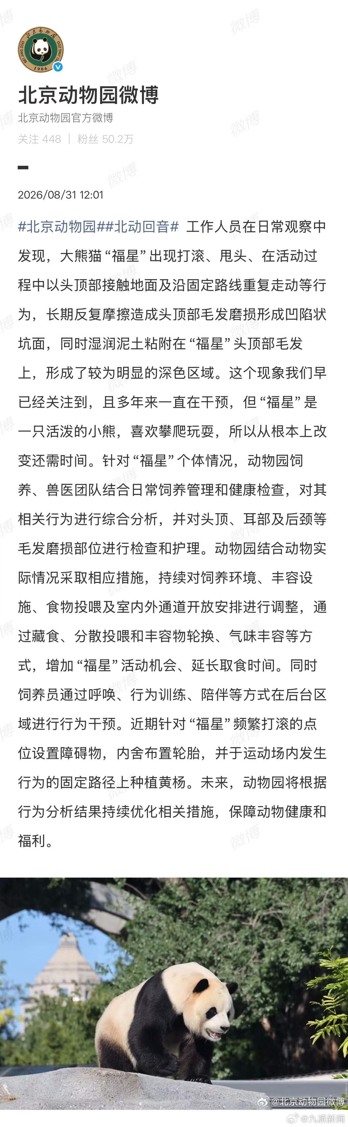#动物园通报熊猫福星头顶毛发磨损#【#动物园回应福星被指长期刻板行为#：多年来一