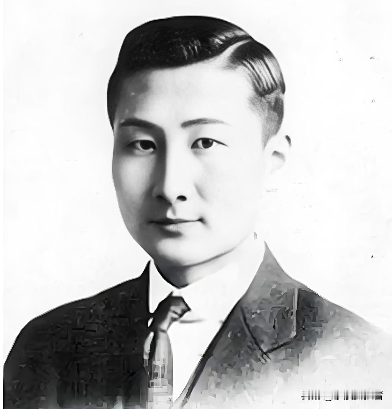 昭和五十四年的东京特别冷，暖气嘶嘶响的病房里，中将枯枝般的手指突然抓住访客袖口：